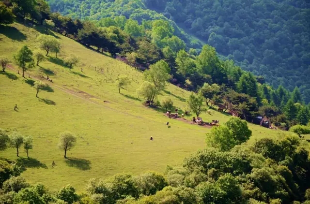 bifa·必发(中国区)唯一官方网站