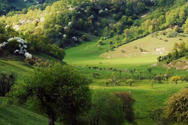 bifa·必发(中国区)唯一官方网站