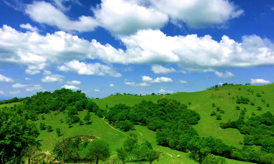 bifa·必发(中国区)唯一官方网站