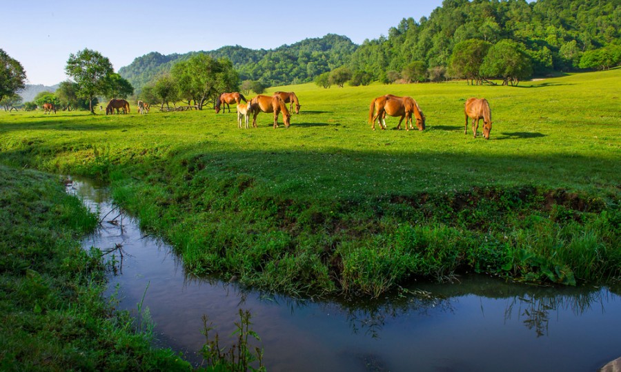 bifa·必发(中国区)唯一官方网站