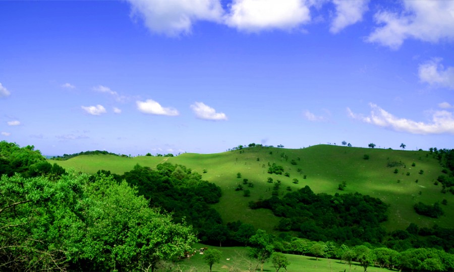 bifa·必发(中国区)唯一官方网站