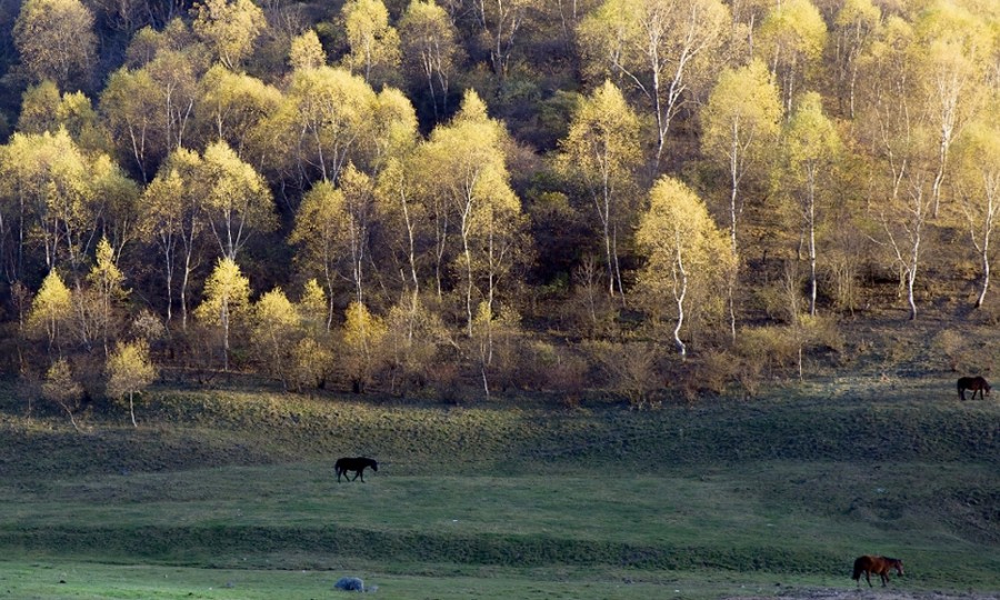 bifa·必发(中国区)唯一官方网站