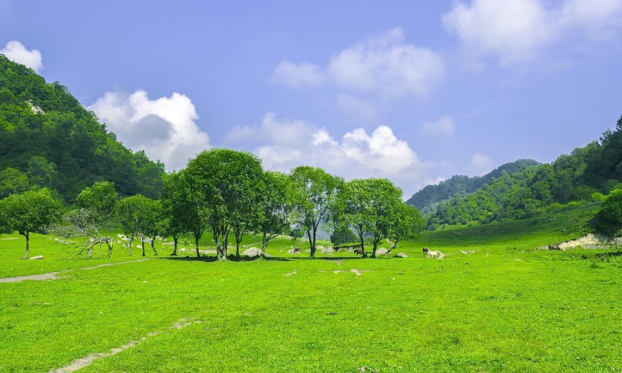 bifa·必发(中国区)唯一官方网站