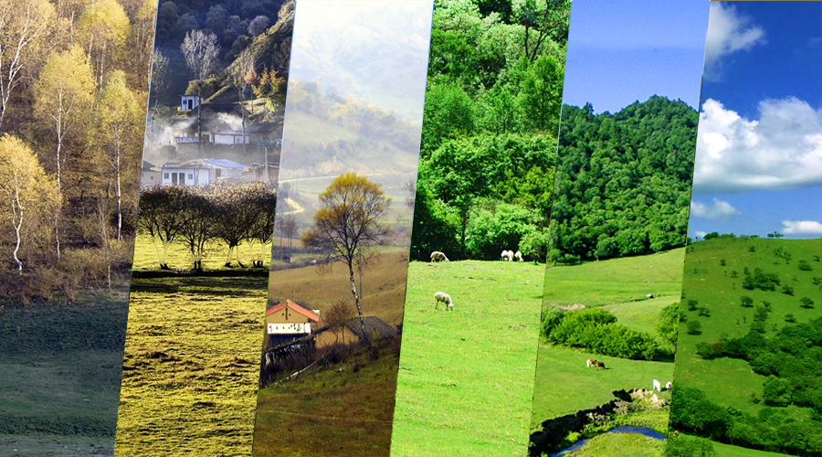 bifa·必发(中国区)唯一官方网站