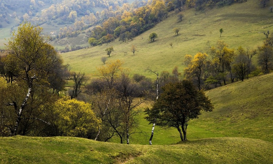 bifa·必发(中国区)唯一官方网站