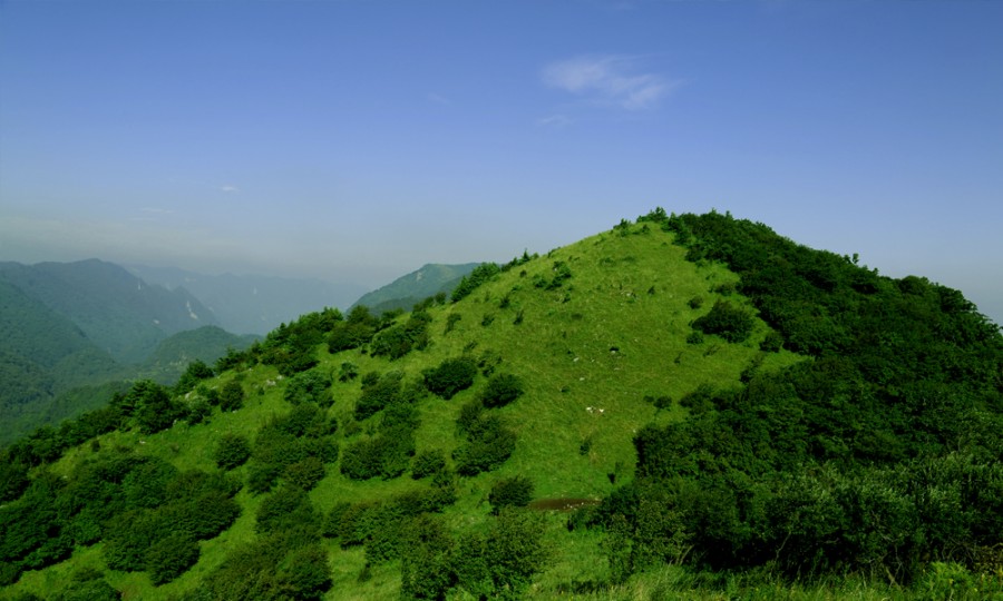 bifa·必发(中国区)唯一官方网站