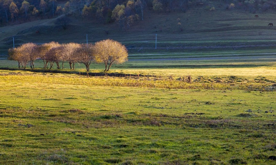 bifa·必发(中国区)唯一官方网站