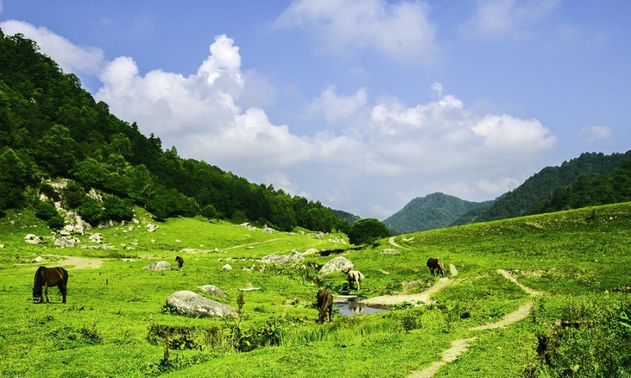 bifa·必发(中国区)唯一官方网站