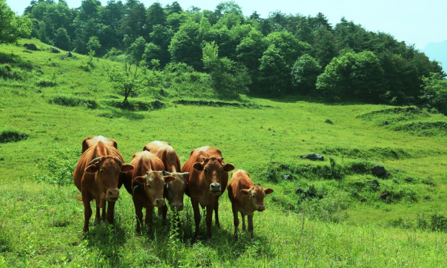 bifa·必发(中国区)唯一官方网站