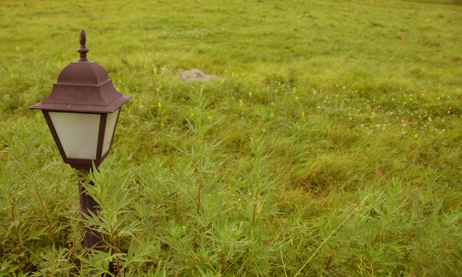 bifa·必发(中国区)唯一官方网站