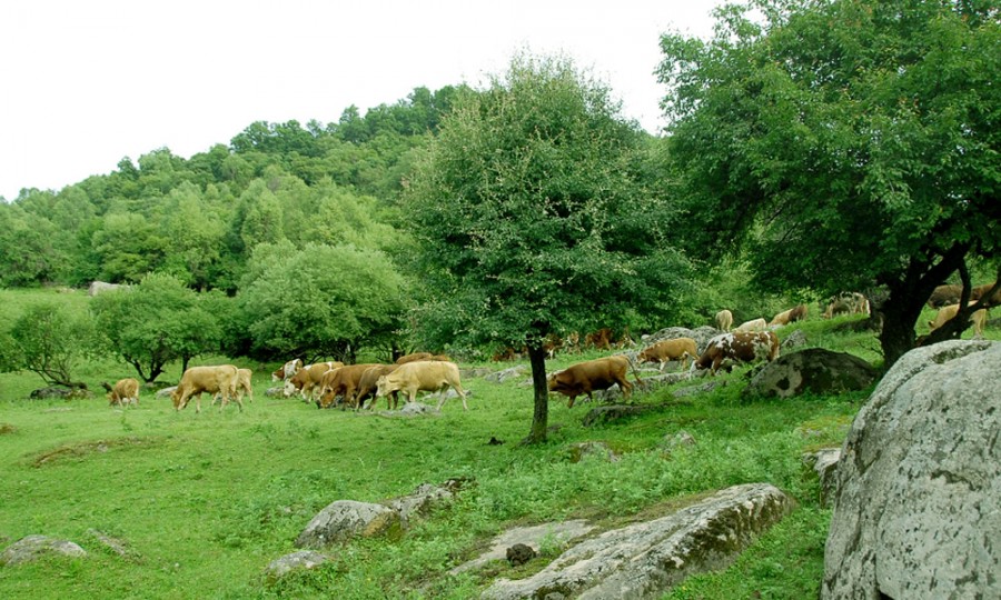 bifa·必发(中国区)唯一官方网站