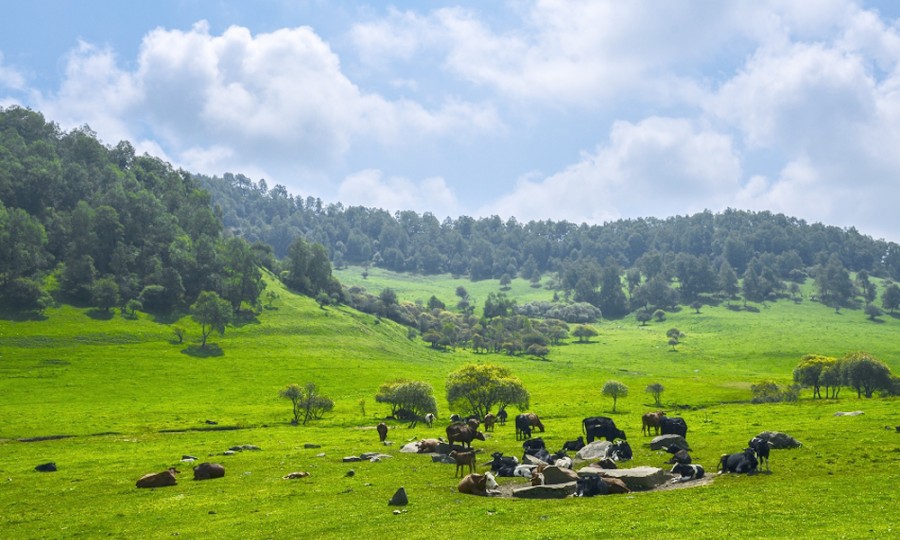 bifa·必发(中国区)唯一官方网站