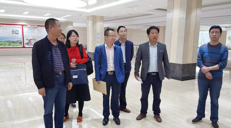 bifa·必发(中国区)唯一官方网站