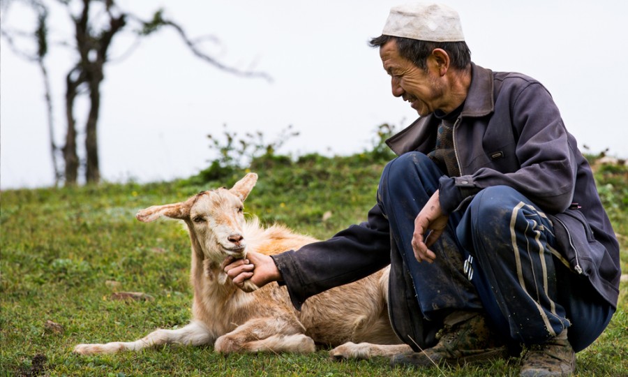 bifa·必发(中国区)唯一官方网站
