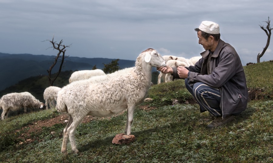 bifa·必发(中国区)唯一官方网站