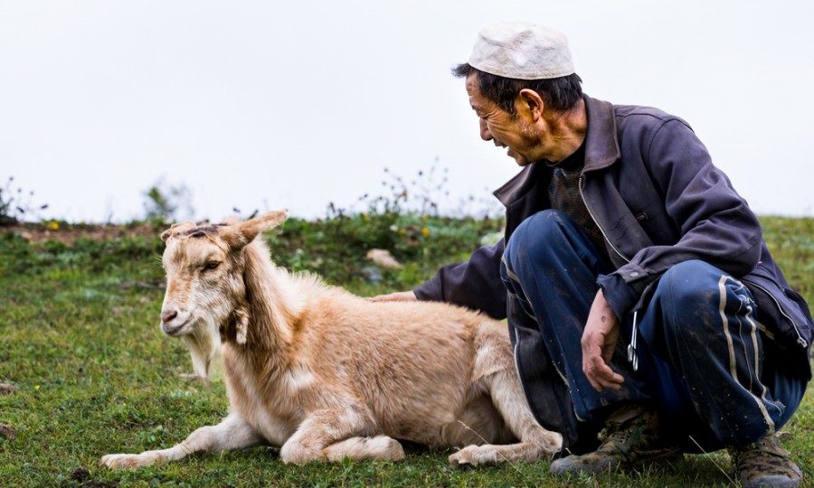 bifa·必发(中国区)唯一官方网站