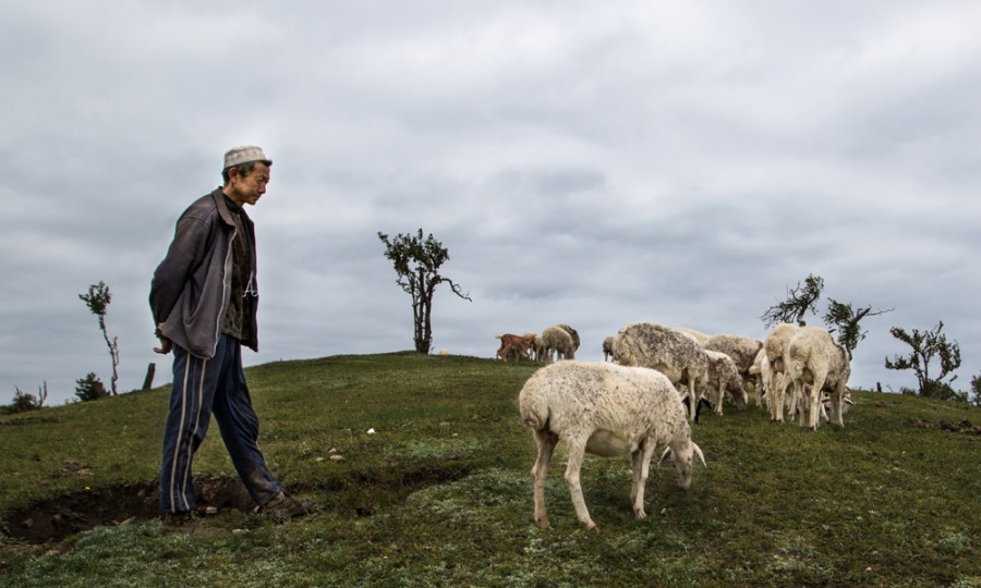 bifa·必发(中国区)唯一官方网站