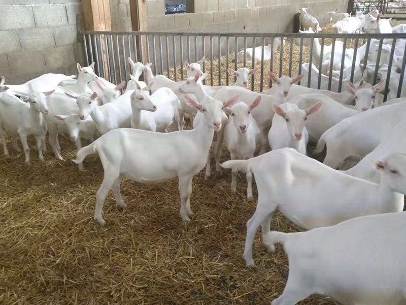 bifa·必发(中国区)唯一官方网站