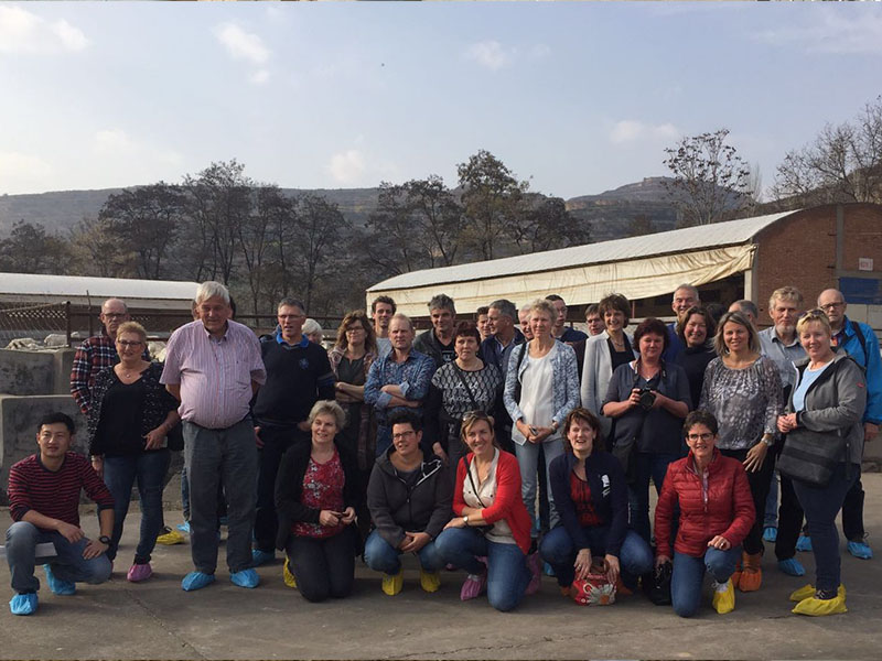 bifa·必发(中国区)唯一官方网站