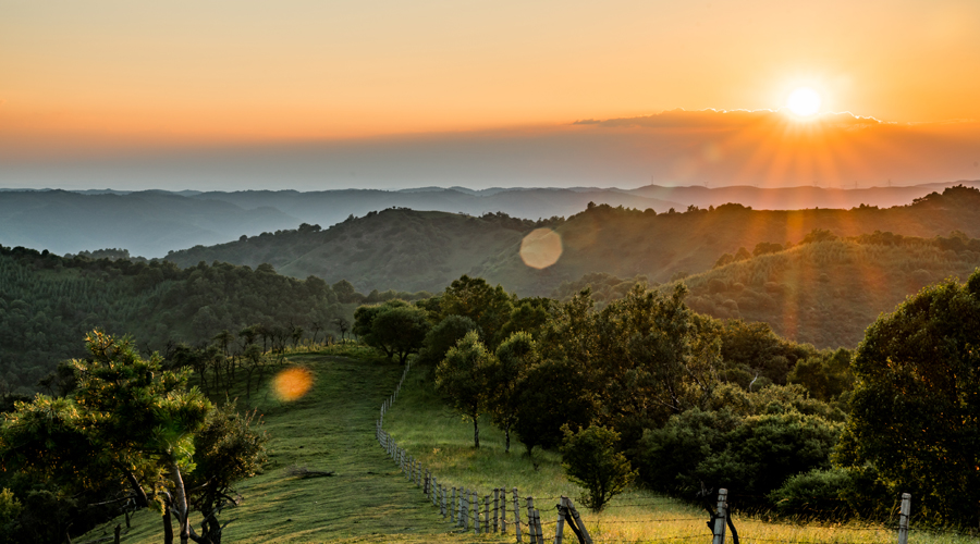 bifa·必发(中国区)唯一官方网站