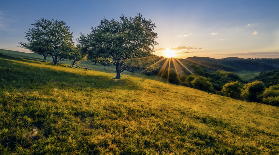 bifa·必发(中国区)唯一官方网站