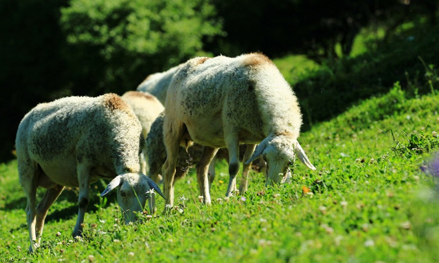 bifa·必发(中国区)唯一官方网站