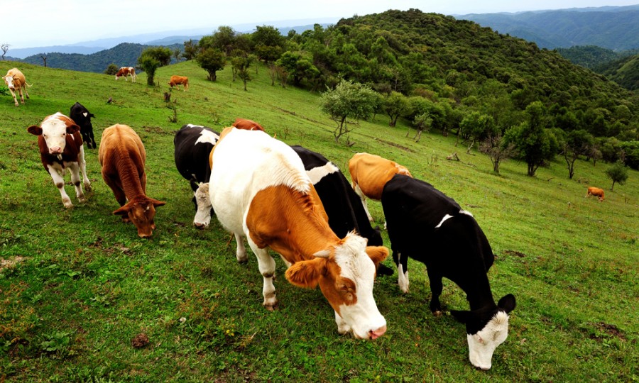 bifa·必发(中国区)唯一官方网站