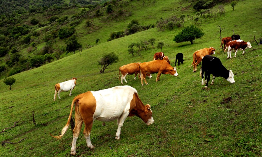 bifa·必发(中国区)唯一官方网站