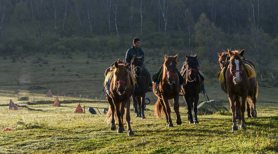 bifa·必发(中国区)唯一官方网站