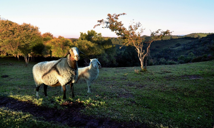 bifa·必发(中国区)唯一官方网站