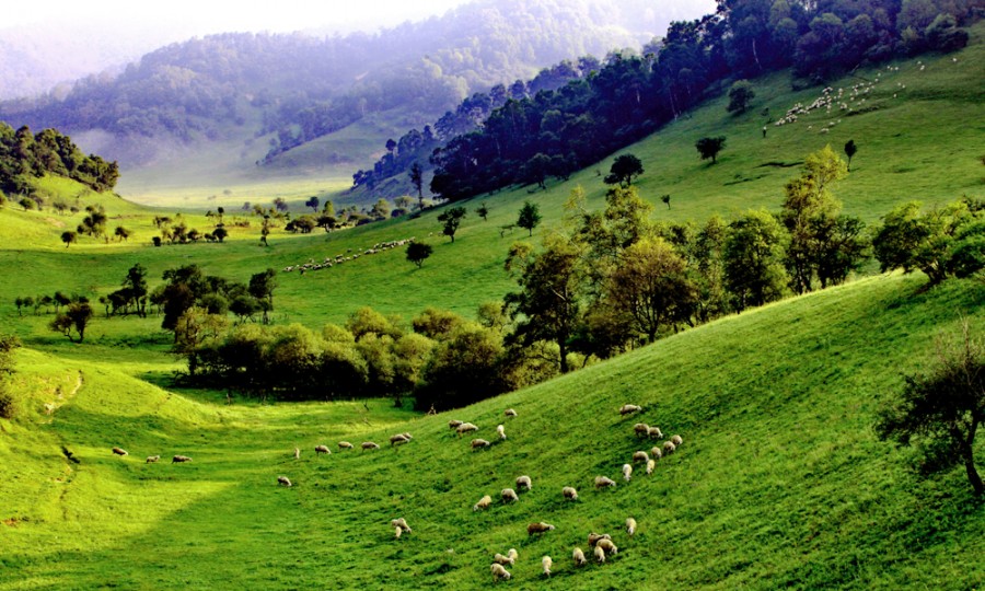 bifa·必发(中国区)唯一官方网站