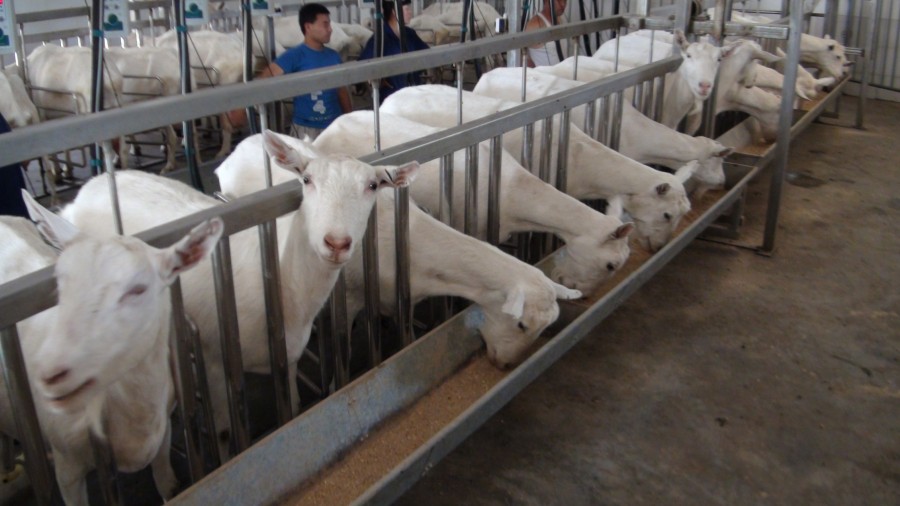 bifa·必发(中国区)唯一官方网站