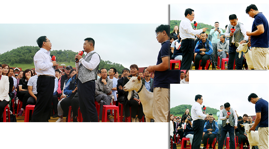 bifa·必发(中国区)唯一官方网站