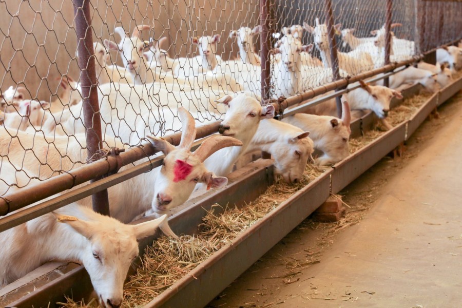 bifa·必发(中国区)唯一官方网站