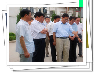 bifa·必发(中国区)唯一官方网站