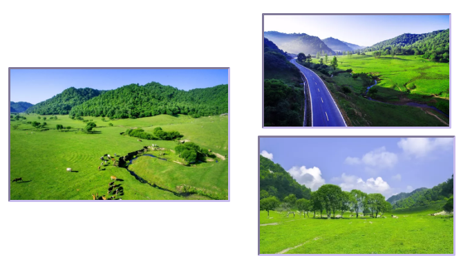 bifa·必发(中国区)唯一官方网站