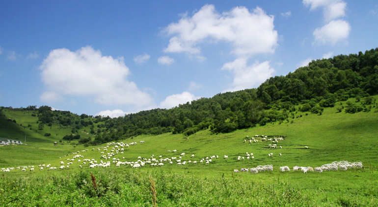 bifa���ط�(�й���)Ψһ�ٷ���վ