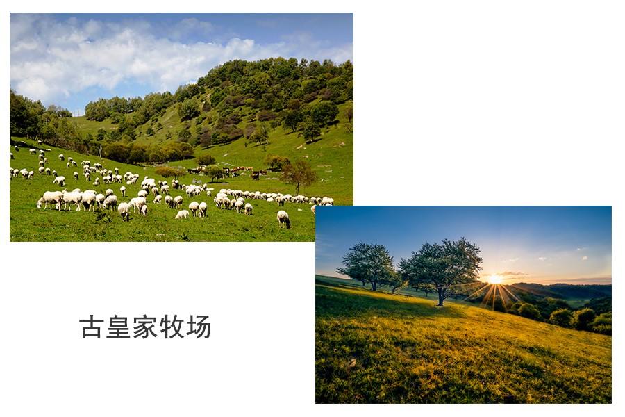 bifa·必发(中国区)唯一官方网站