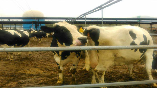 bifa·必发(中国区)唯一官方网站