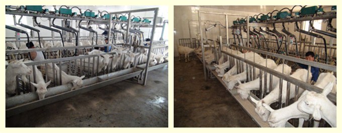 bifa·必发(中国区)唯一官方网站