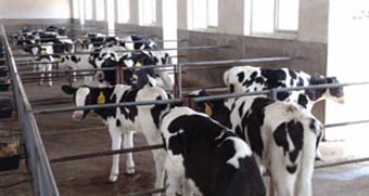 bifa·必发(中国区)唯一官方网站