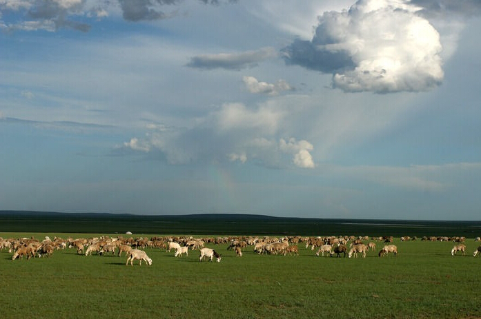 bifa·必发(中国区)唯一官方网站