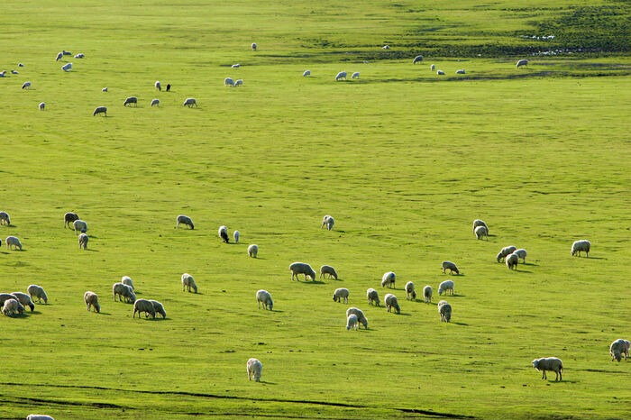 bifa·必发(中国区)唯一官方网站