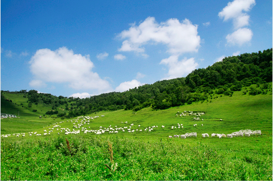 bifa·必发(中国区)唯一官方网站