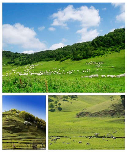 bifa·必发(中国区)唯一官方网站