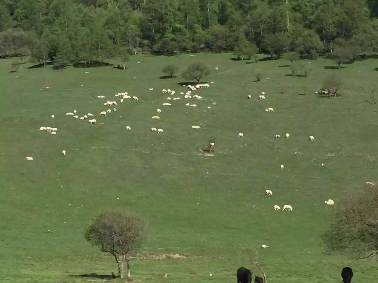 bifa·必发(中国区)唯一官方网站