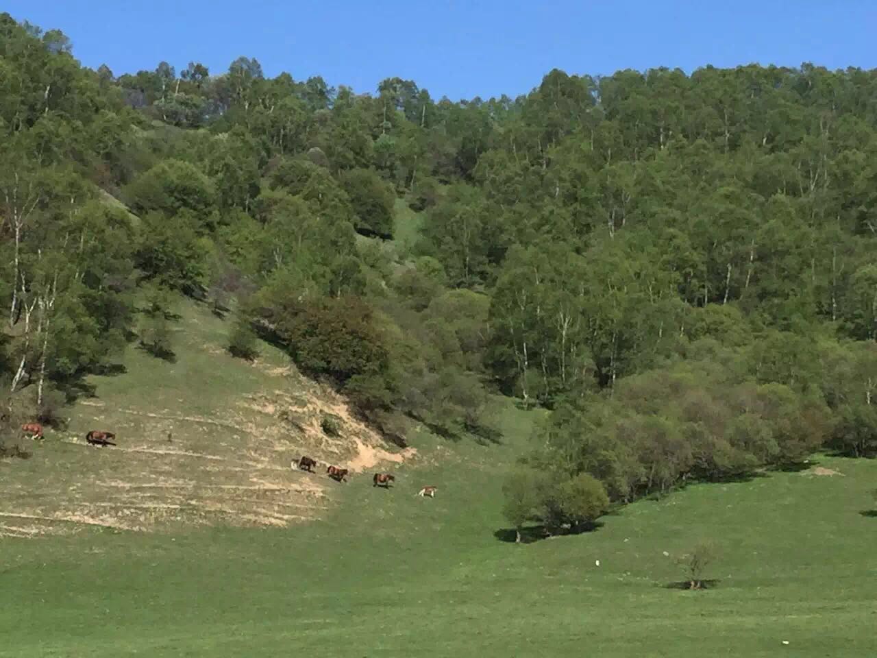 bifa·必发(中国区)唯一官方网站