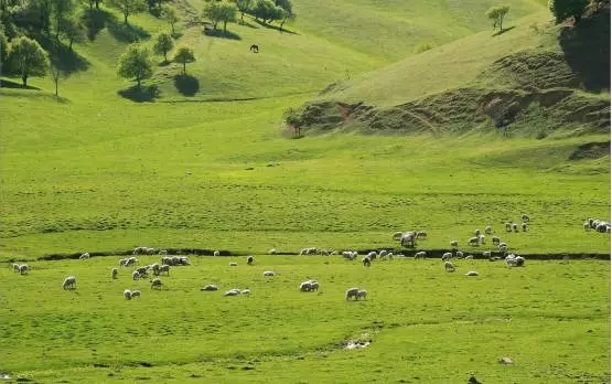 bifa·必发(中国区)唯一官方网站