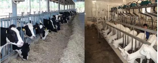 bifa·必发(中国区)唯一官方网站