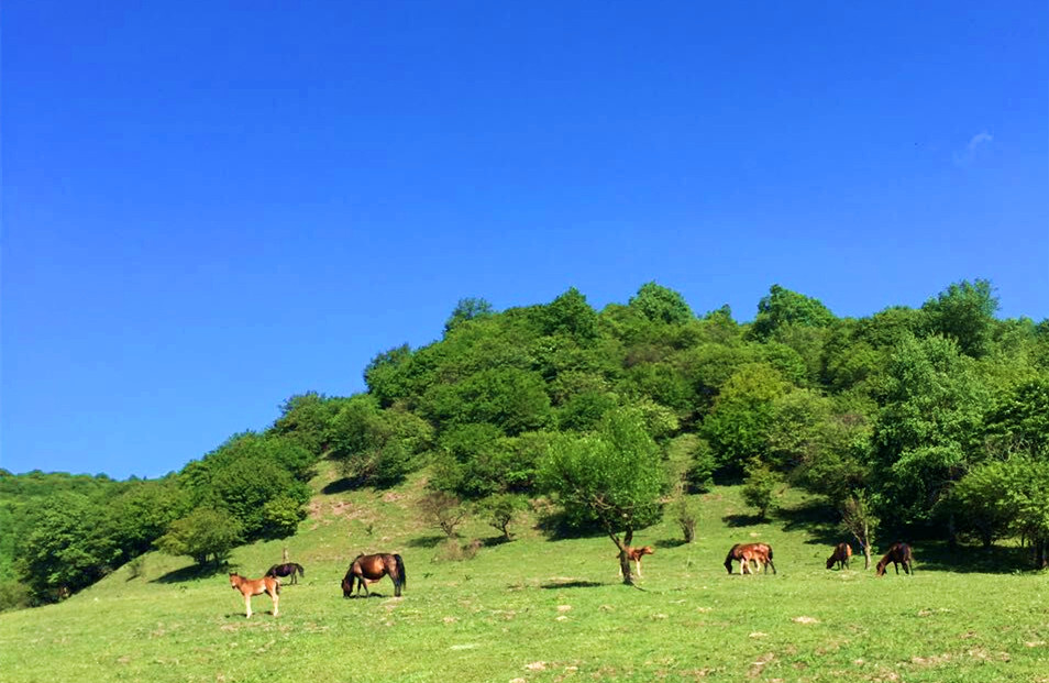 bifa·必发(中国区)唯一官方网站
